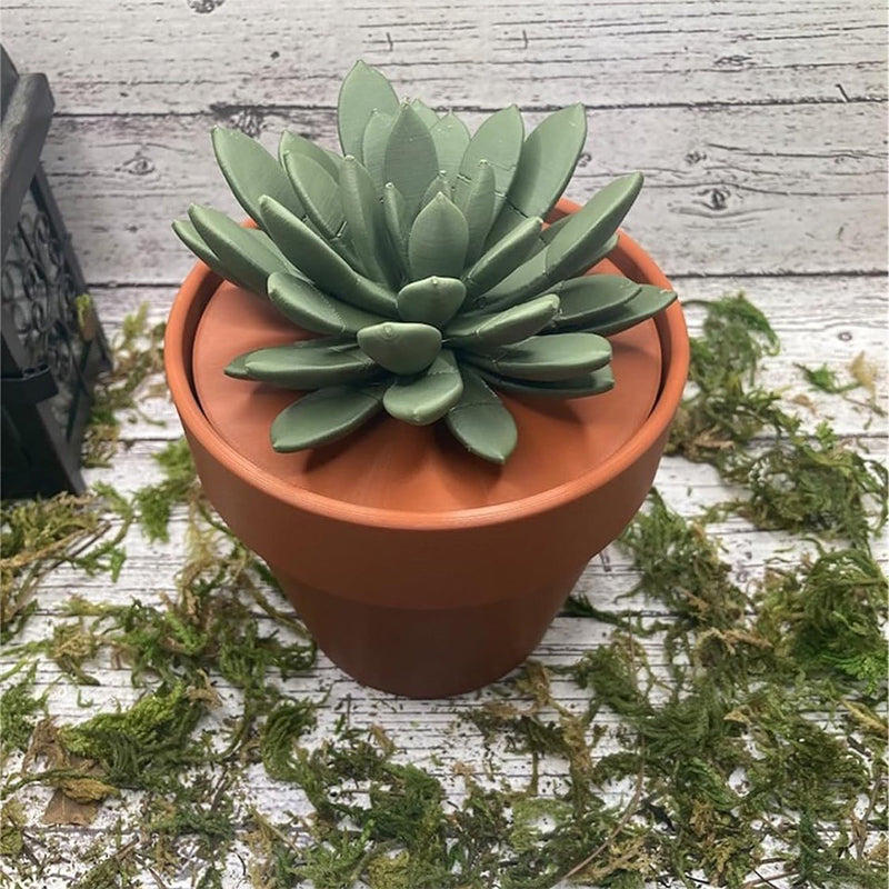 Succulent simulation potted