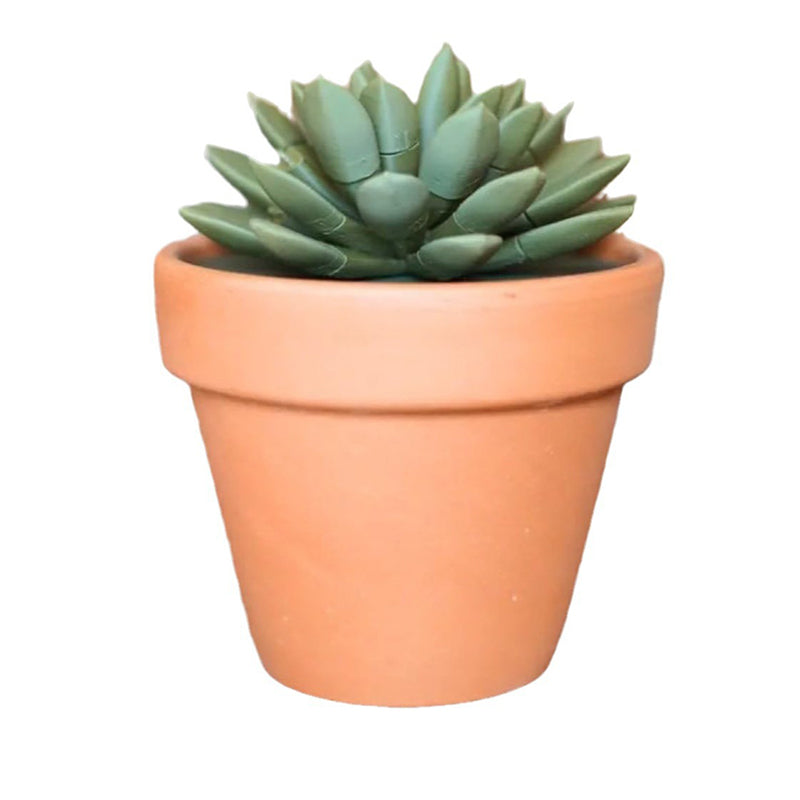 Succulent simulation potted
