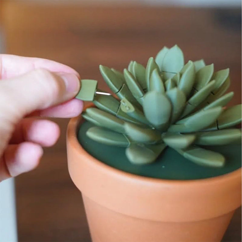 Succulent simulation potted